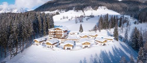 维尔芬翁Das Eulersberg Apartments & Chalets的雪地中度假村的空中景观