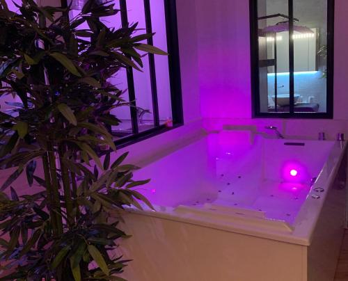 Fontaine-lès-DijonFontainespa21的一间带紫色灯浴缸的浴室