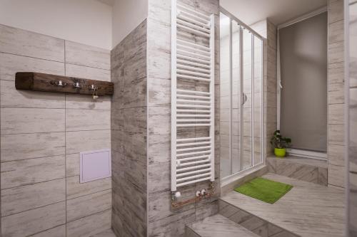 利托梅日采U svaté Ludmily的一间带淋浴的浴室,铺有绿色地毯