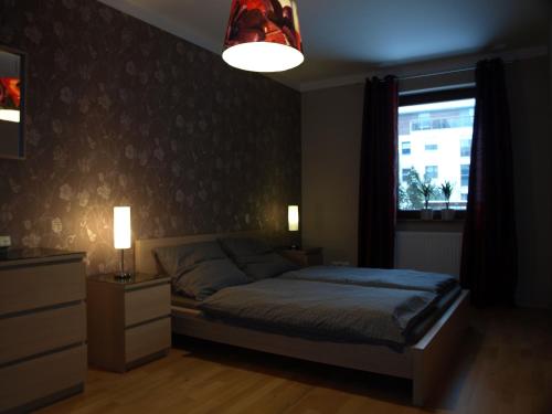 弗罗茨瓦夫Apartament przy parku的一间卧室设有床、窗户和一盏灯。