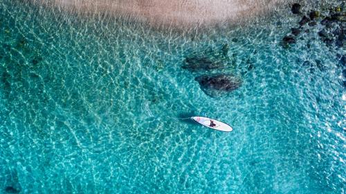 巴亚尔塔港科斯塔苏尔Spa及度假酒店的水中冲浪板