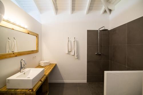 圣马丁岛Villa Jwi Lavi Boutique Hotel的一间带水槽和淋浴的浴室