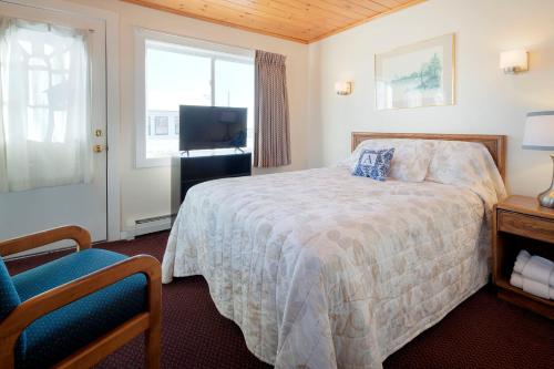 旧奥查德比奇Alouette Beach Resort Economy Rooms的一间卧室设有一张床、一台电视和一个窗口。