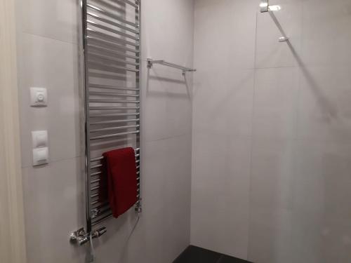 布拉格Praha white gardens的带淋浴和红色毛巾的浴室
