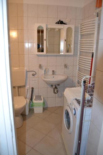 KerekegyházaSzahara Vendégház的浴室配有卫生间水槽和洗衣机。