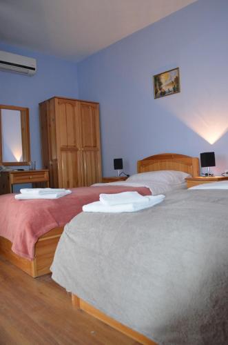 鲁塞Hotel Kramus的卧室设有两张床铺和蓝色的墙壁