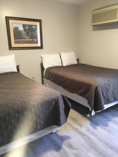 刘易斯堡霍斯特全套房经济酒店的两张睡床彼此相邻,位于一个房间里