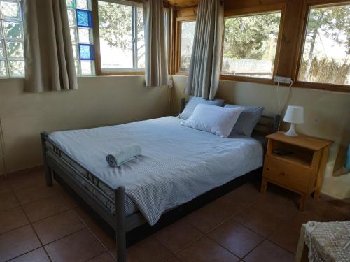 米茨佩·拉蒙Desert Peace的一间设有床铺的卧室,位于带窗户的房间内