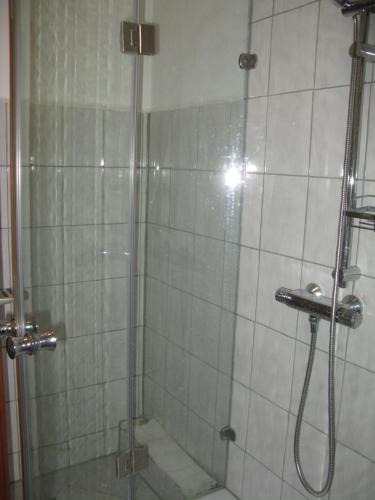 KamschlackenFerienwohnung Gohlke的浴室里设有玻璃门淋浴