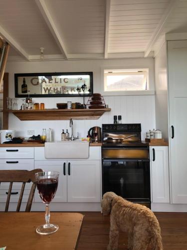 新普利茅斯Little Church Bay的一只狗站在厨房里,一边喝着一杯葡萄酒