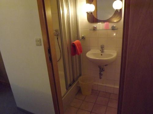 埃伦德博德塔尔酒店的浴室配有盥洗盆和带镜子的淋浴