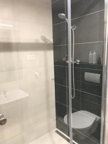 波普拉德Apartment Poprad的带淋浴、卫生间和盥洗盆的浴室