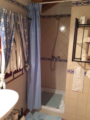 塞卡尔Quarto Monte Ninho das Perdizes的一间带蓝色淋浴帘的淋浴的浴室