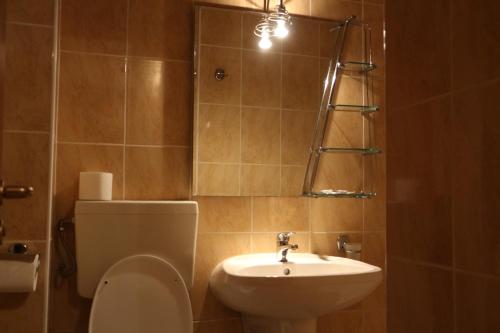 奥拉维察Hotel Caras的一间带卫生间和水槽的浴室