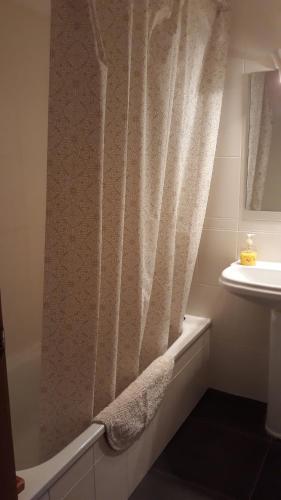 锡古恩萨Apartamento Turístico Sigüenza的浴室配有淋浴帘和盥洗盆。