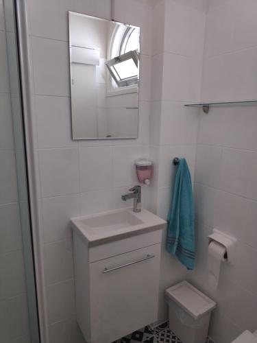 拉纳卡Elena Apartmen的一间带水槽、卫生间和镜子的浴室