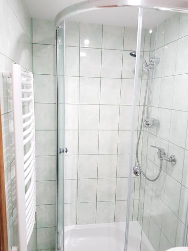 克雷尼察Willa RYŚ的浴室里设有玻璃门淋浴