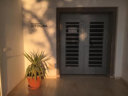 斯法克斯Appartement simple et propre的坐在门前的植物