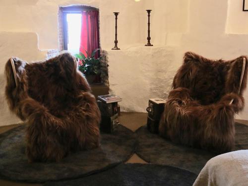 兹沃勒De Pelsertoren的两个大棕色熊椅坐在房间里