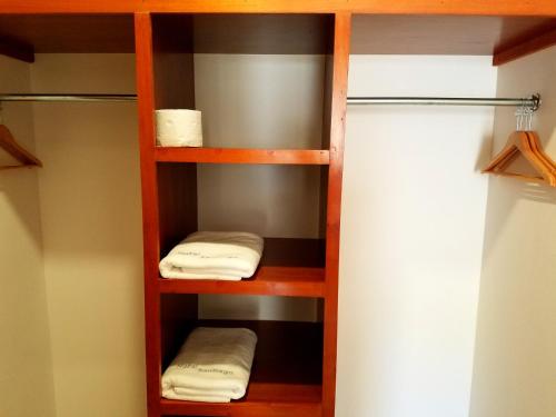 加尔潘Hotel Santiago的衣柜配有木制架子和白色毛巾