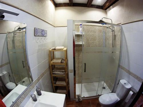 CobisaApartamento los arcos的带淋浴、盥洗盆和卫生间的浴室