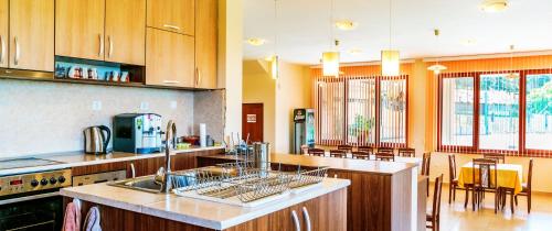 沃尔舍茨Guest House Panorama 3D的厨房配有水槽和台面