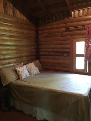 Peña BlancaHospedaje en el Lago的小木屋内的一张床位,设有窗户