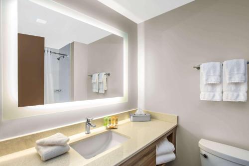 达尼亚滩Wyndham Garden Ft Lauderdale Airport & Cruise Port的一间带水槽和镜子的浴室