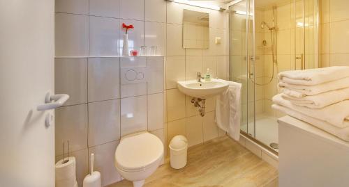GroßfahnerZum alten Hauptmann的浴室配有卫生间、盥洗盆和淋浴。
