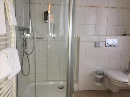 巴特萨尔茨乌夫伦Weinhotel Römerbad的带淋浴和卫生间的浴室