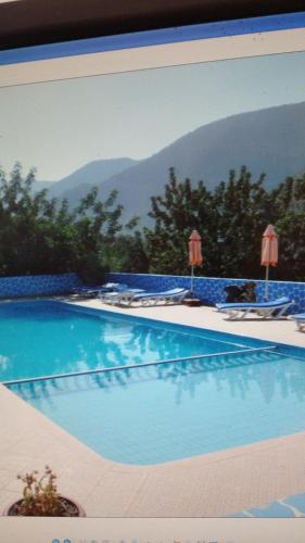 Tagherat AnekrimAuberge BAB IMOUZER的一张背景为山脉的游泳池的照片