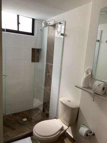 拉特瓦伊达Hotel Mirador San Esteban的一间带卫生间和玻璃淋浴间的浴室