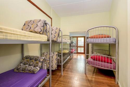 麦夸里港麦夸里港背包客旅馆的一间设有一张双层床的房间