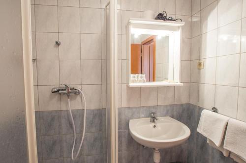 Starše贝诺宾馆的带淋浴、盥洗盆和镜子的浴室