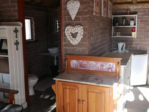 库斯Terra Rouge Guestfarm & Sonstraal Farmhouse的一间带水槽和卫生间的台面的浴室