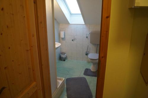 Maiersdorf豪斯伯格博里克酒店的浴室配有卫生间、水槽和天窗。