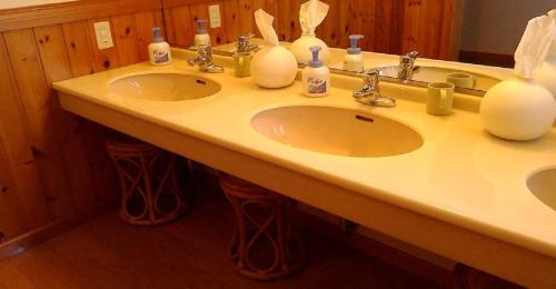 南鱼沼市Pension Come Relaxing Western-style room- Vacation STAY 14977的浴室设有2个水槽,配有肥皂瓶