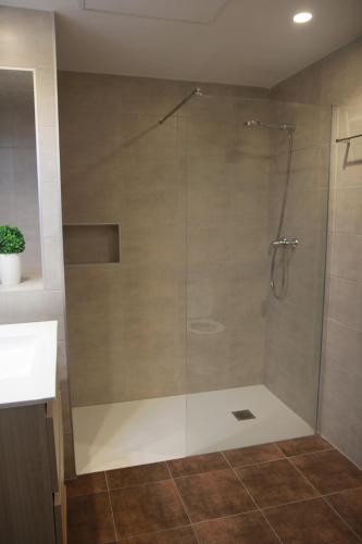 阿斯佩蒂亚Apartamento Erdi Kale的浴室里设有玻璃门淋浴