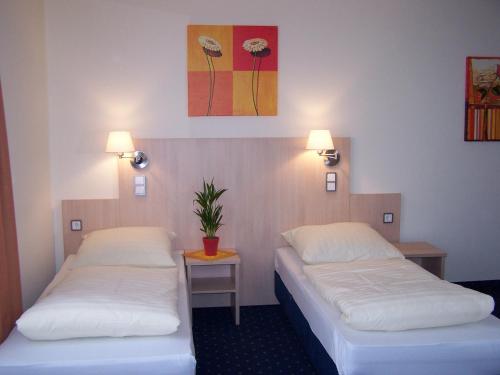 Großostheim兰德加斯托福霍克旅馆的一间设有两张床的房间和墙上的植物