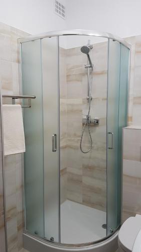 克沃兹科Hotel Śnieżnik的浴室里设有玻璃门淋浴