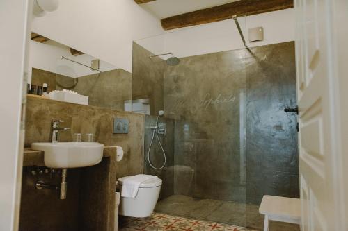 奥洛穆茨Miss Sophie's Olomouc - Boutique Hotel的带淋浴、卫生间和盥洗盆的浴室