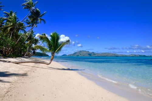 椰子海滩度假村