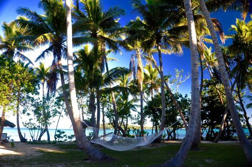 Tavewa椰子海滩度假村的海滩上棕榈树荫下的吊床