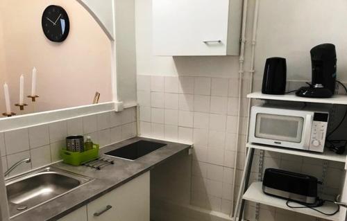 马赛38 Rue Papety的一间带水槽和微波炉的小厨房
