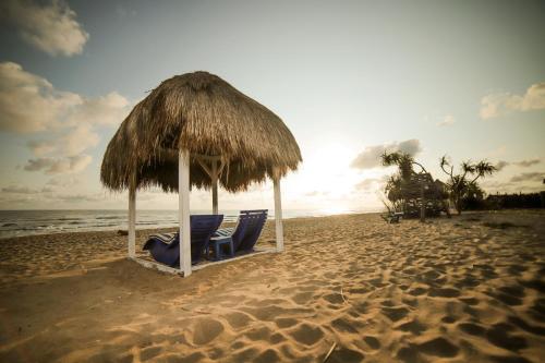 尼拉瓦利阿曼塔海滩住宿加早餐旅馆的相册照片