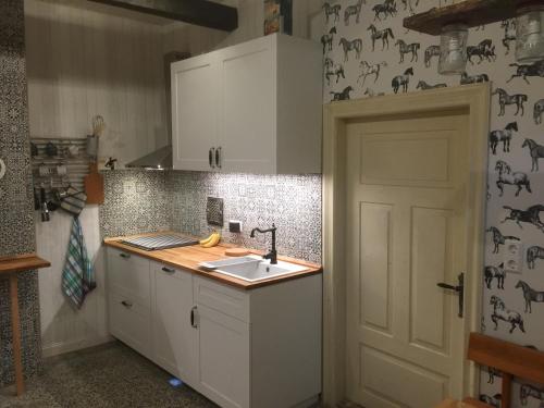 石勒苏益格Hof Larina的厨房配有白色橱柜、水槽和门