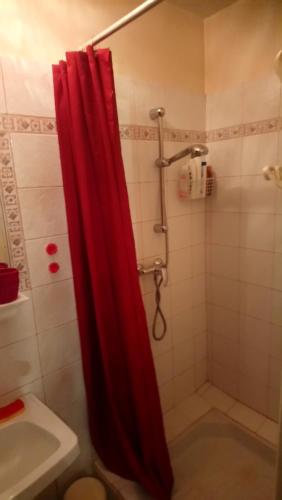艾居厄河畔卡马勒studio cosy en PROVENCE的一间带红色淋浴帘的淋浴的浴室