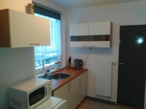 ŽluticeNa Polesí的厨房配有微波炉和水槽