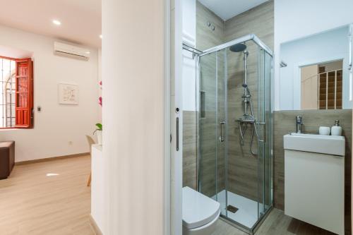 塞维利亚Casa de la Moneda - Center Luxury Duplex的带淋浴和卫生间的浴室