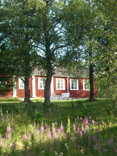 KittelfjällÅ-hemmet i Dikanäs的一座种满树木的红色房子和一座种满鲜花的花园